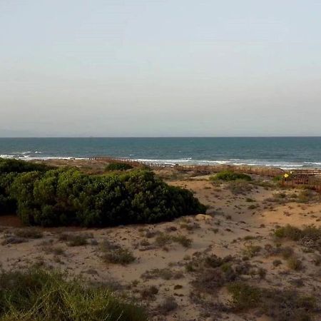 Apartamento Playa Arenales Del Sol Lejlighed Eksteriør billede
